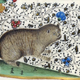 Gato ilustrado por Jean Mansel en 1454.